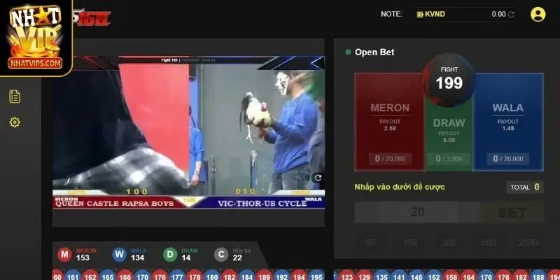 Trải nghiệm hình thức gà đá Peru hấp dẫn